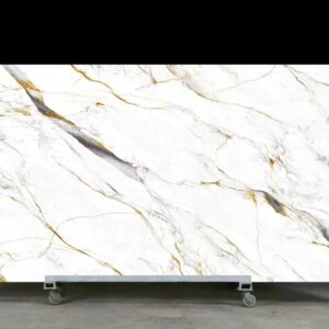 Venice 9001 - Image 1